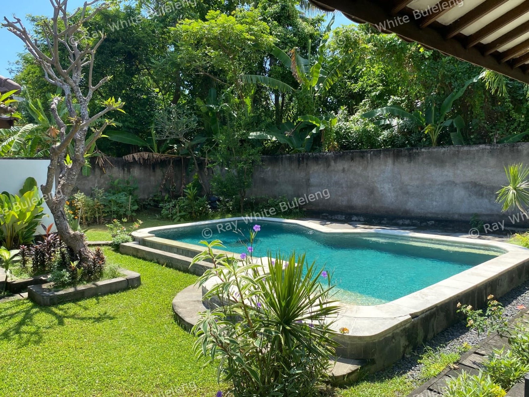 Luxury Villa for Sale in Central Lovina Near Beach