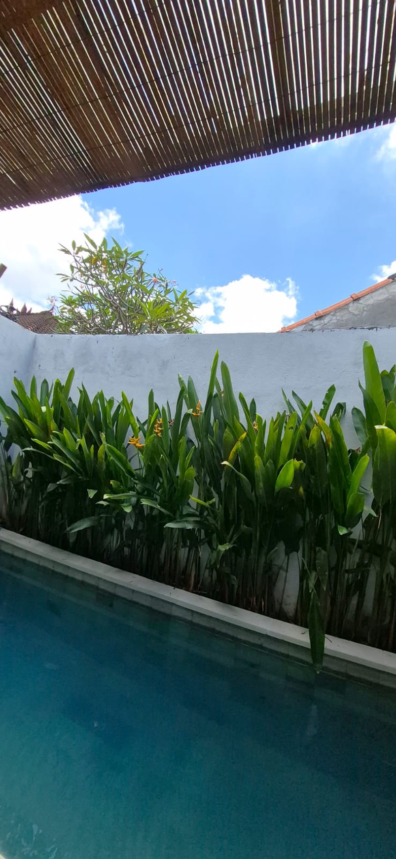 Leasehold - Fully Furnished Leasehold Villa in Padang Linjong - 1.6km to Echo Beach and La Brisa, Canggu, Bali
