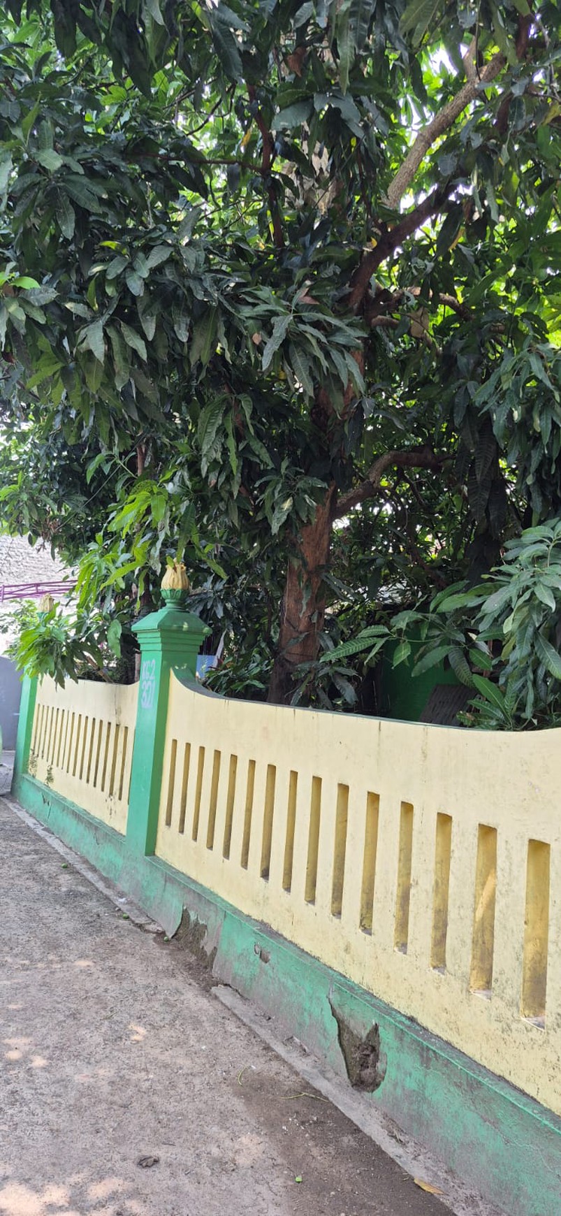 Rumah Tinggal 850 Meter Persegi, Lokasi Dekat SMPN 9 Yogyakarta