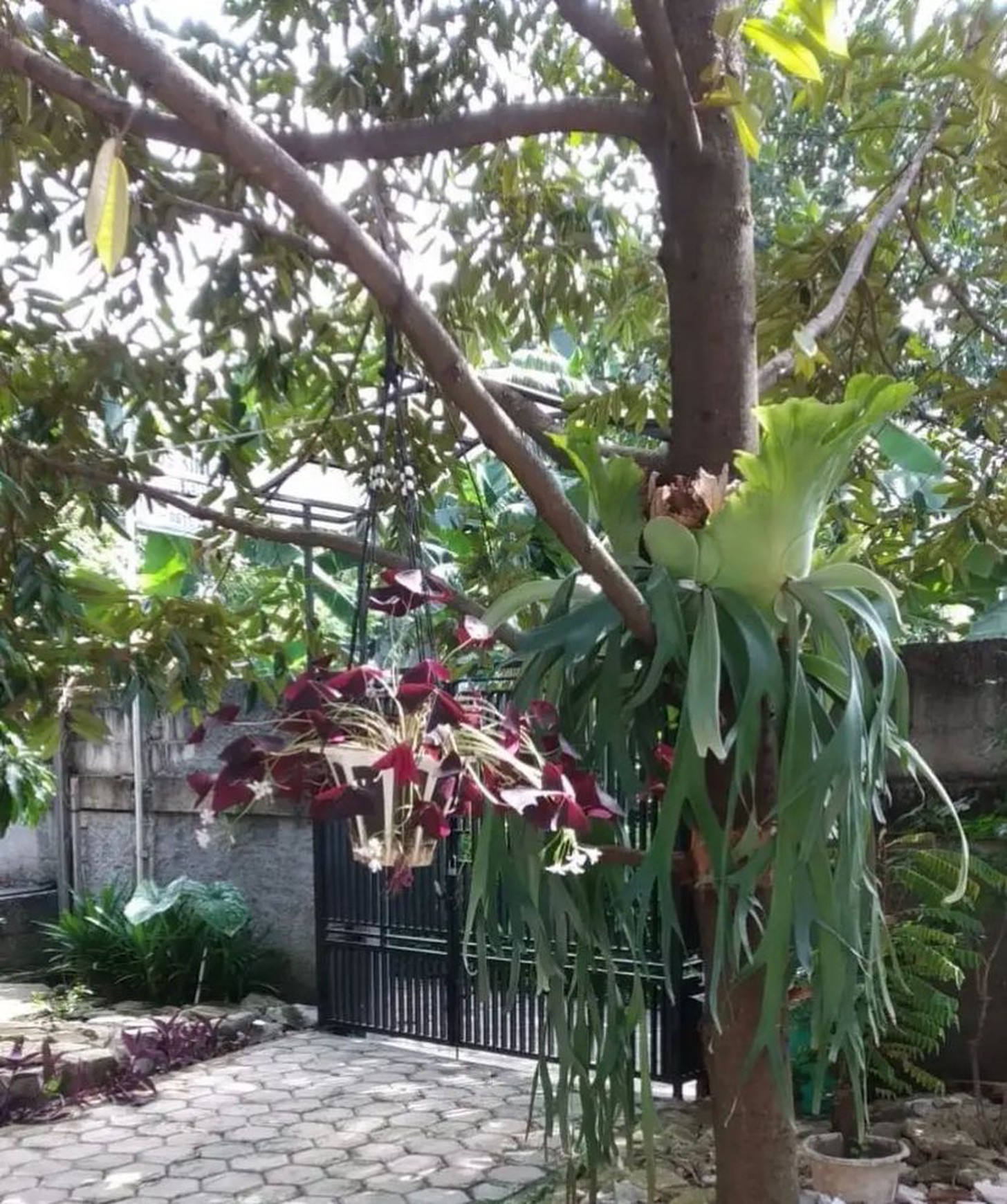Rumah kos-kosan Di Jl H Joan Pondok Aren Tangerang Selatan