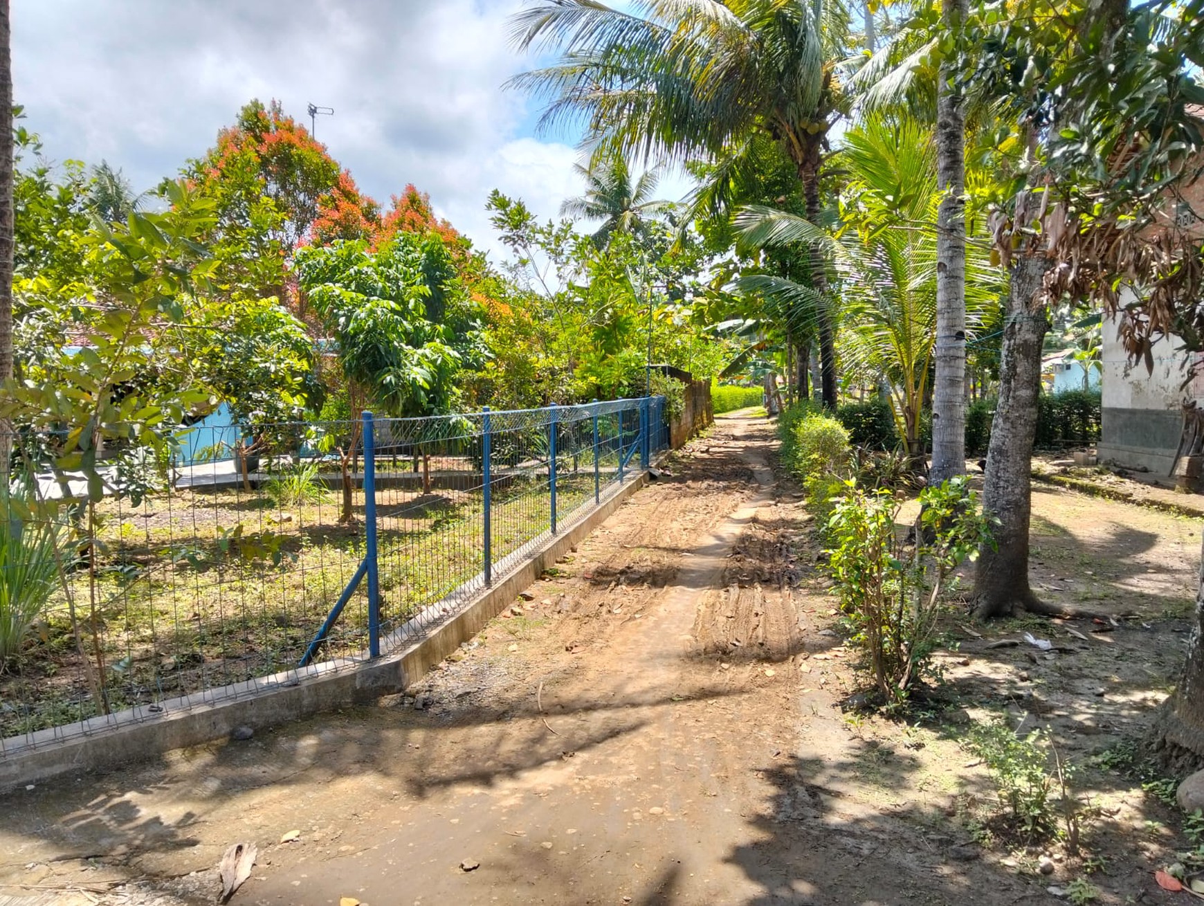 Rumah Tinggal Halaman Luas 865 Meter Persegi Lokasi Dekat Jalan Wates-Purworejo Km 6, Kulon Progo