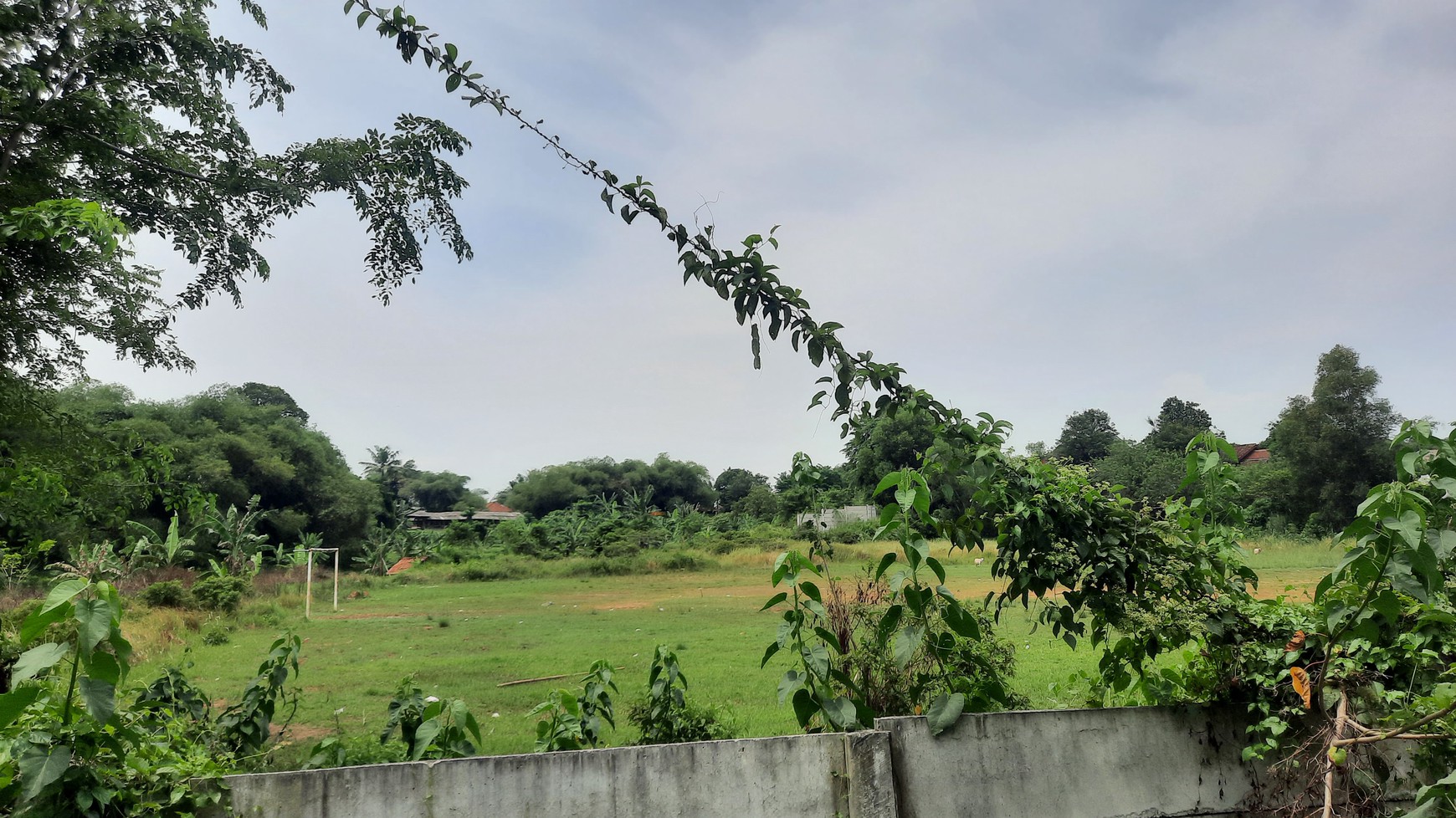 TANAH COCOK UNTUK PERUMAHAN DEKAT DENGAN KOTA LIPPO CIKARANG DAN KOTA DELTAMAS