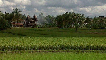Freehold - Rare Land for Sale in Ubud - 2 Mins from Odette Ubud, Bali!