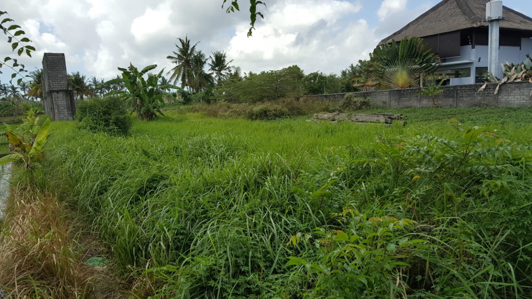 Freehold - Rare Land for Sale in Ubud - 2 Mins from Odette Ubud, Bali!
