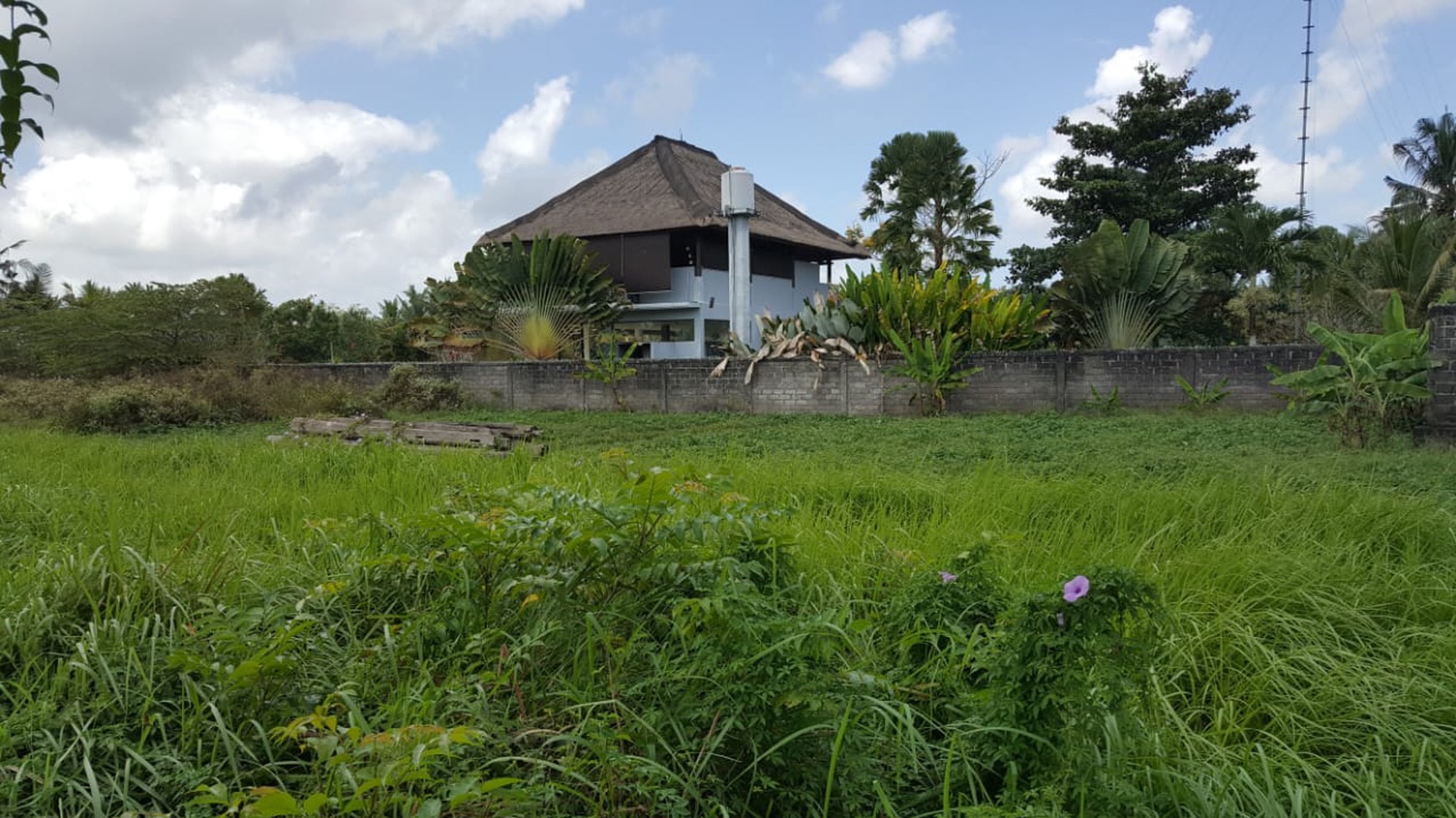 Freehold - Rare Land for Sale in Ubud - 2 Mins from Odette Ubud, Bali!