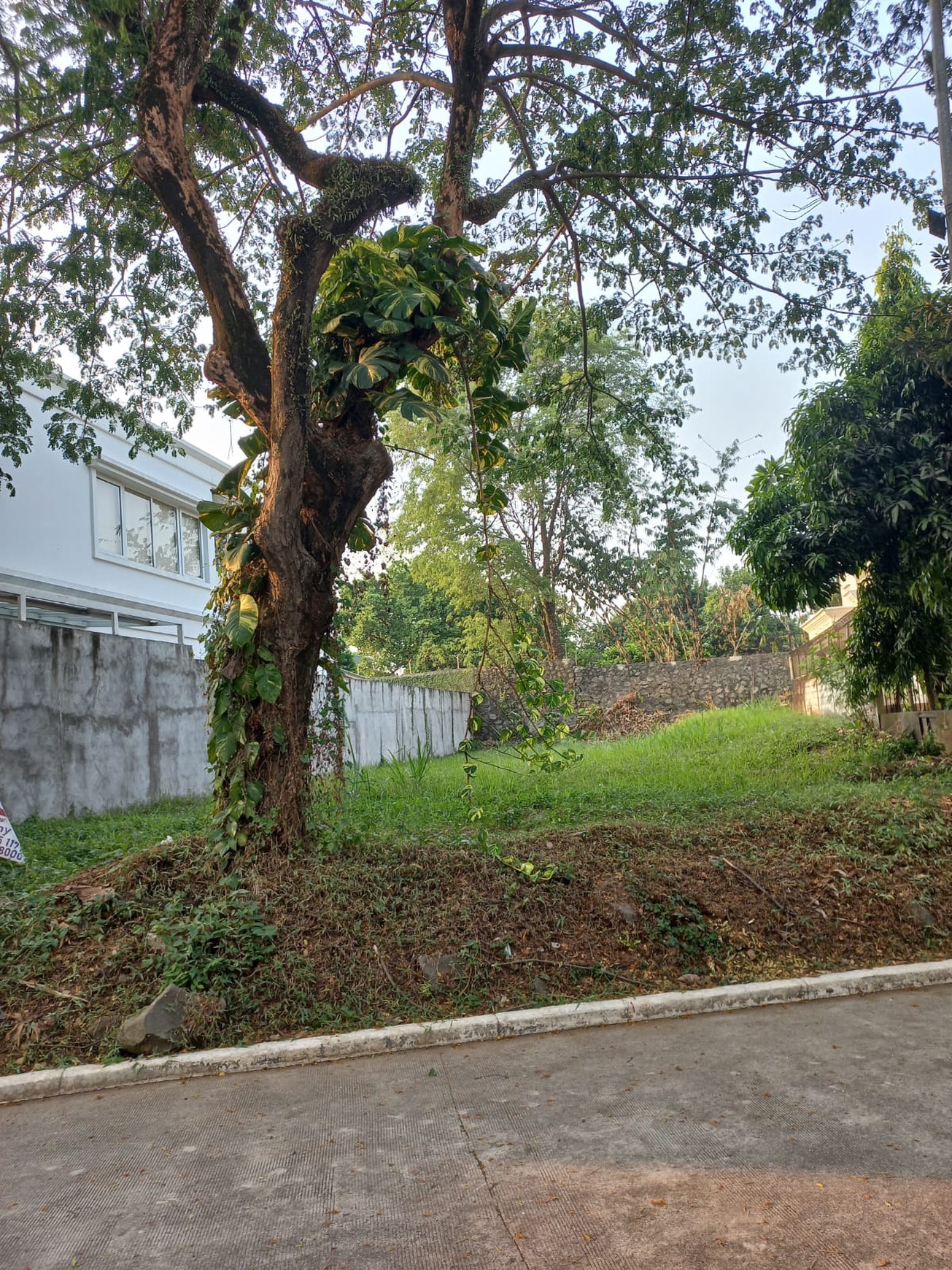 Dijual kavling di JL. Moreno Valley Rolling Hills - Lippo Karawaci