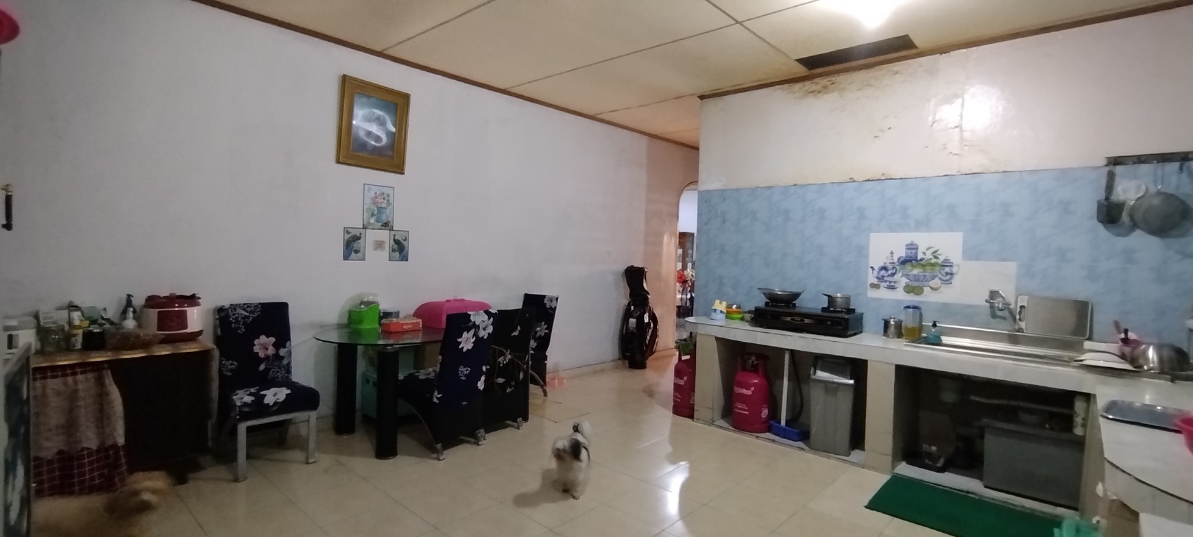 Jual MURAH! Rumah hoek bagus dan siap pakai di Cempaka Putih tengah