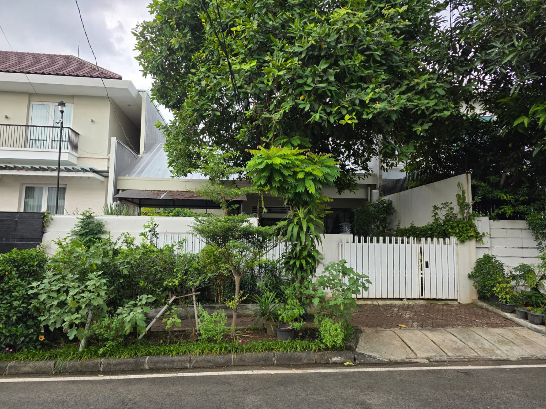 Rumah Bagus Di Jl Purwakarta Menteng Jakarta Pusat