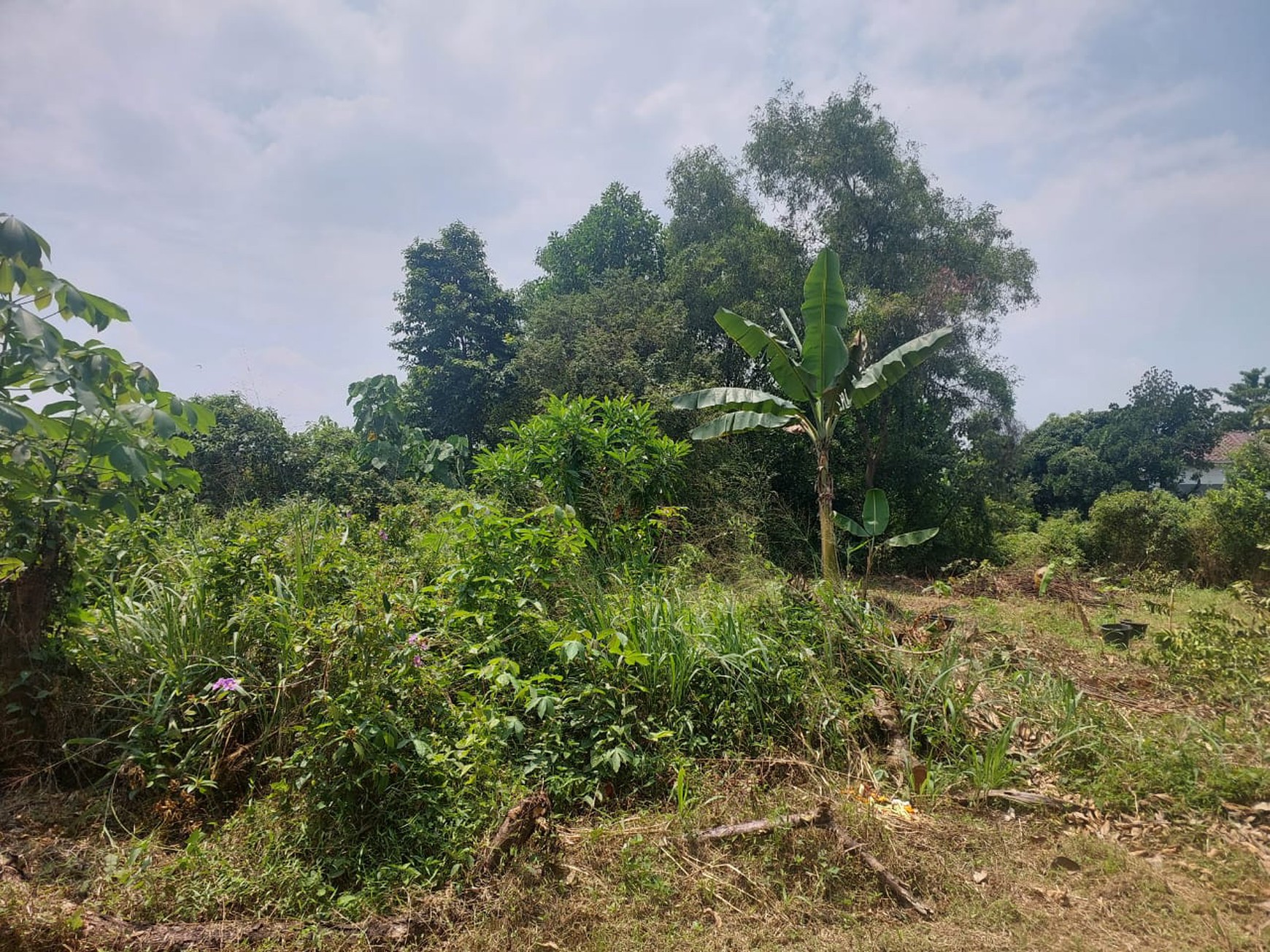 Kavling Siap Bangun Di Griya Cendikia Gunung Sundur Bogor