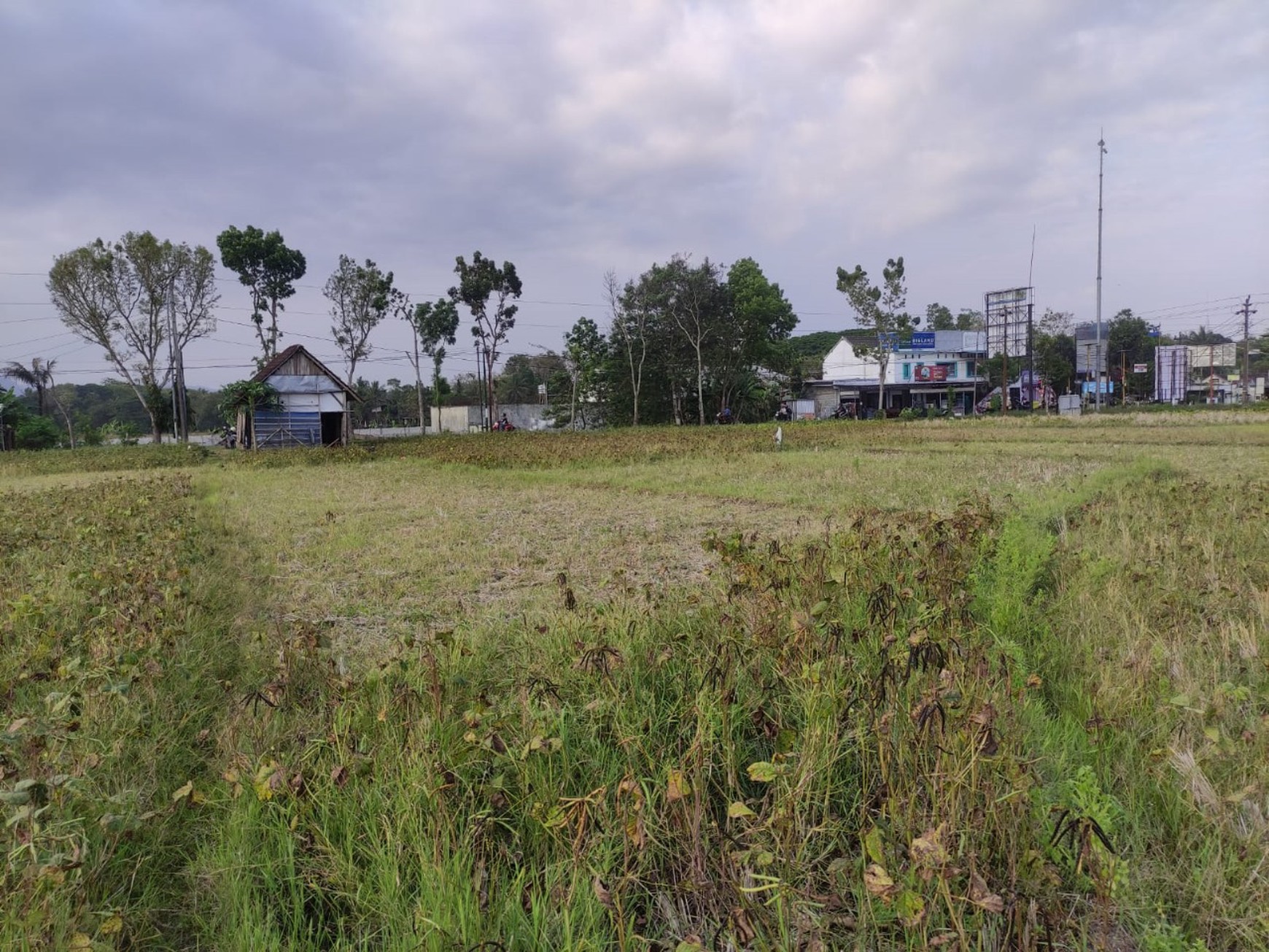 DIJUAL TANAH DEKAT PASAR NANGGOLAN JOGJAKARTA