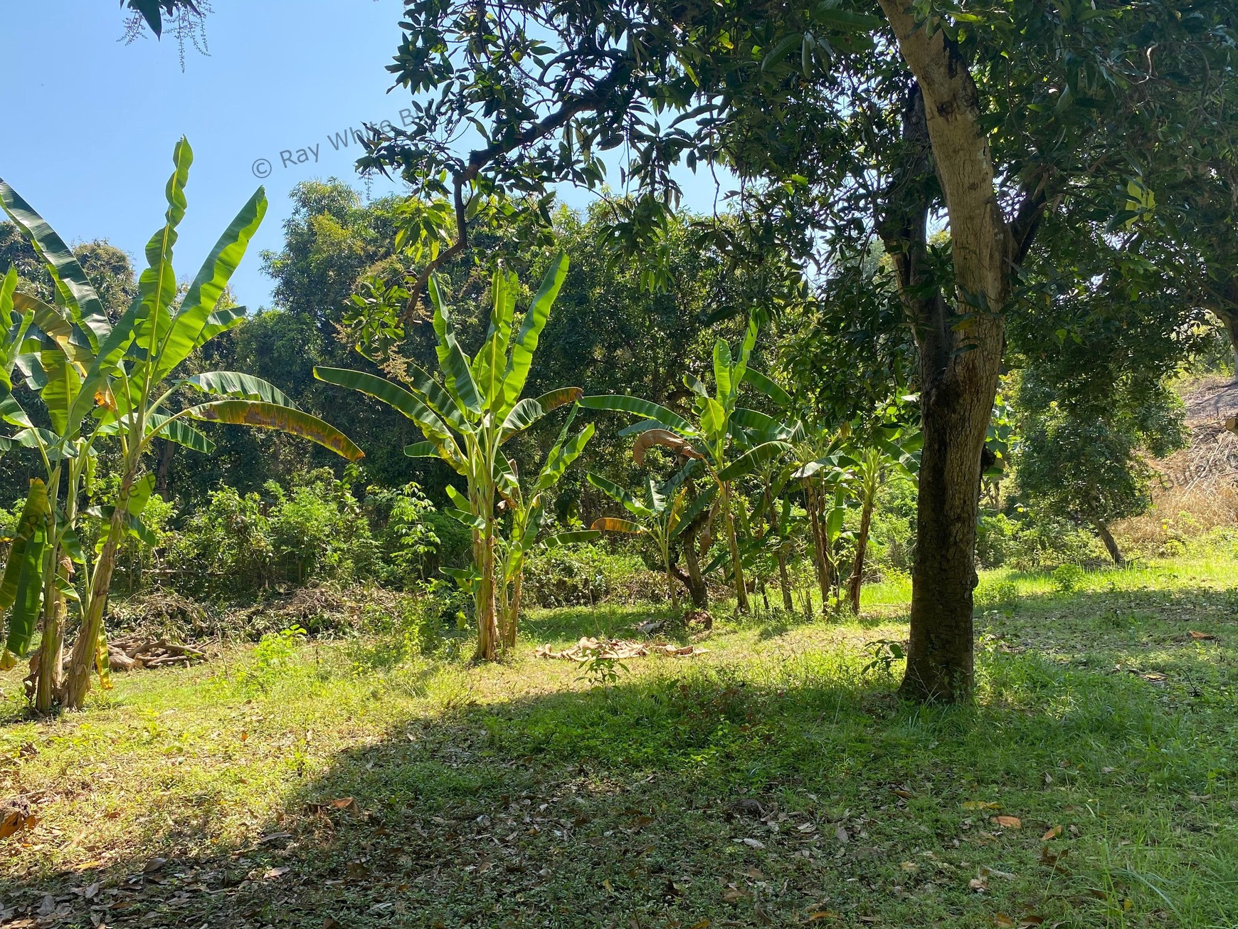 Spacious 1,875 sqm Land for Sale in Selat, Buleleng