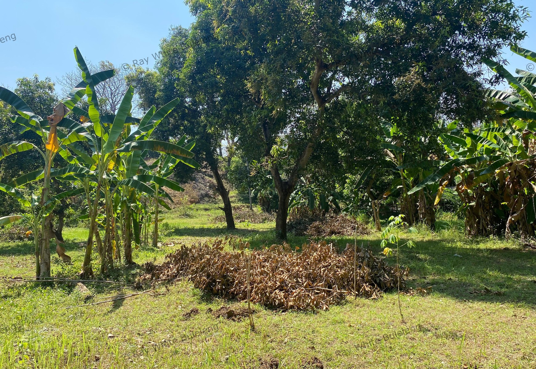 Spacious 1,875 sqm Land for Sale in Selat, Buleleng