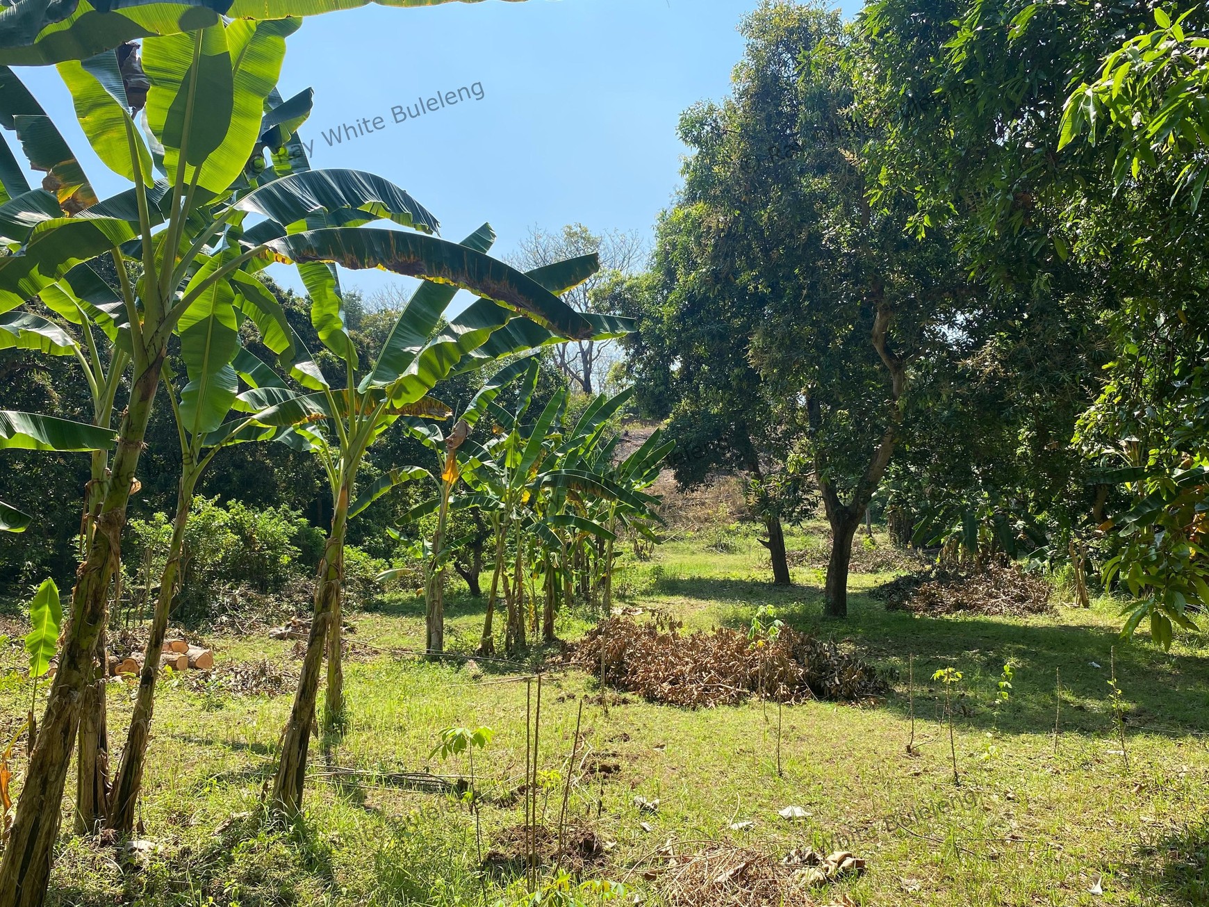 Spacious 1,875 sqm Land for Sale in Selat, Buleleng