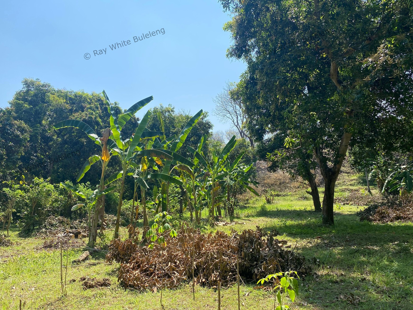 Spacious 1,875 sqm Land for Sale in Selat, Buleleng