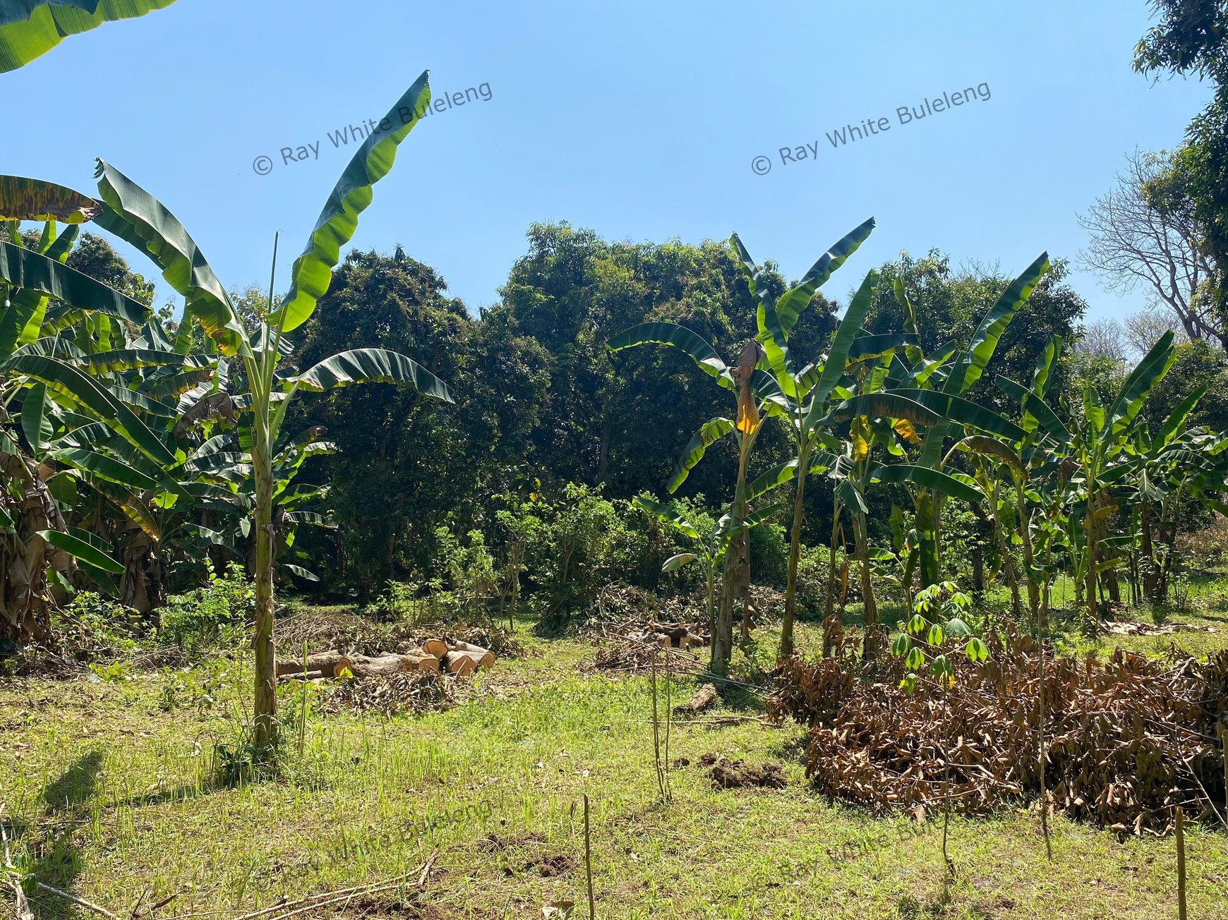 Spacious 1,875 sqm Land for Sale in Selat, Buleleng