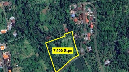 Expansive 7,500 sqm Land - Perfect for Villas, Resort, or Investment Opportunity