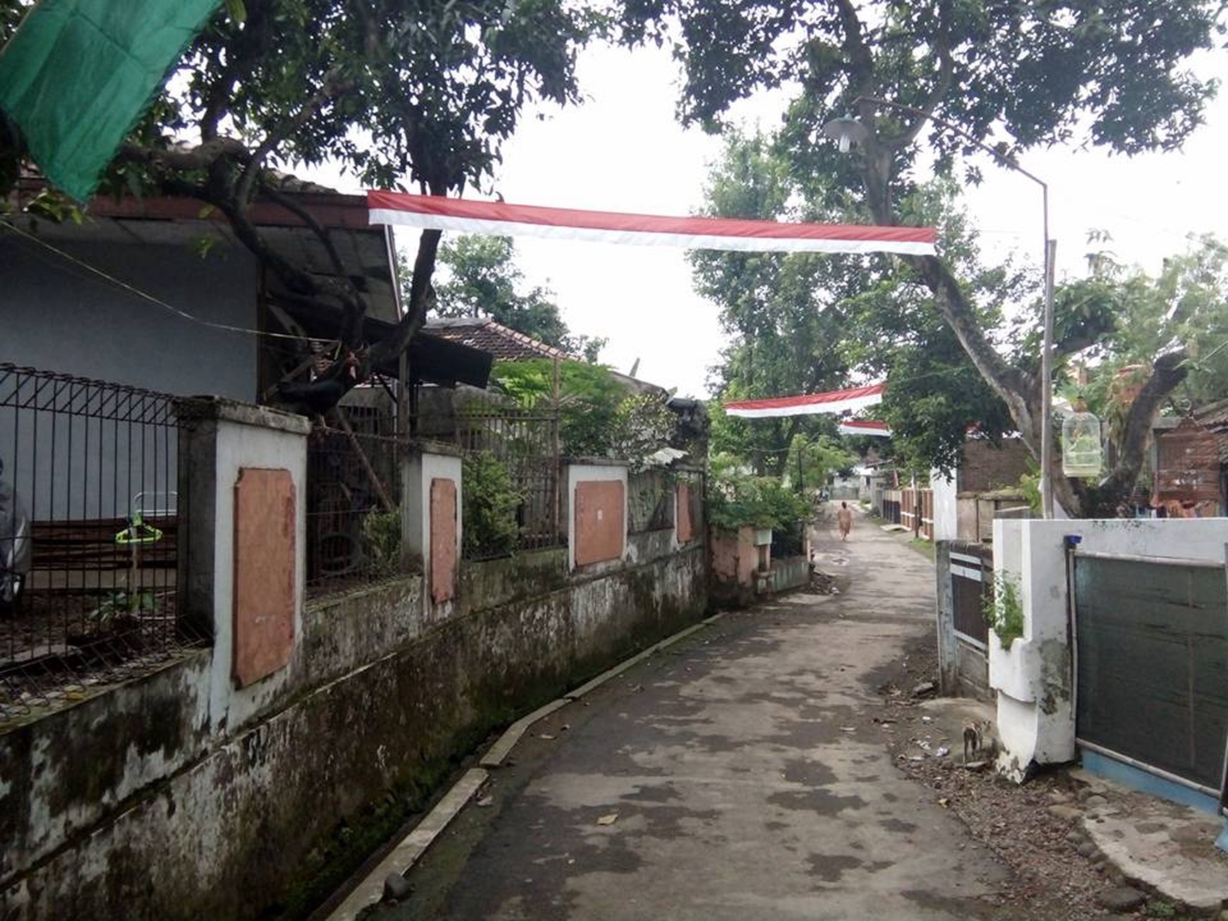 Rumah Cantik Disewa / Dijual di Besito Gebog Kudus Jawa Tengah