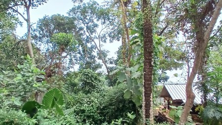 Tanah 383 Meter Persegi Cocok Untuk Rumah Tinggal, Pandowoharjo, Sleman