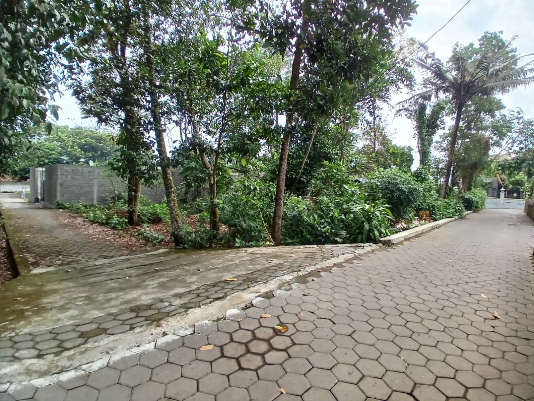 Tanah 383 Meter Persegi Cocok Untuk Rumah Tinggal, Pandowoharjo, Sleman
