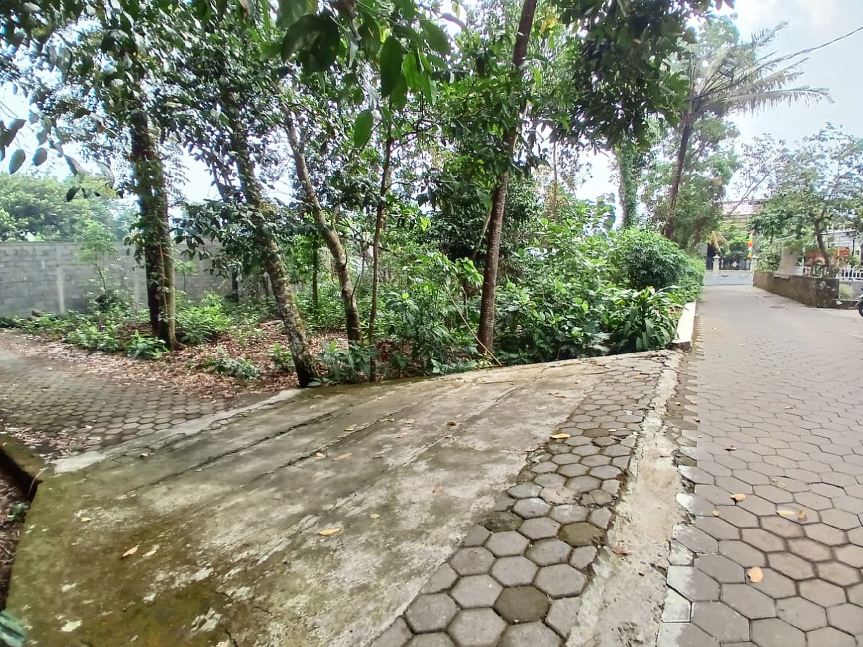 Tanah 383 Meter Persegi Cocok Untuk Rumah Tinggal, Pandowoharjo, Sleman