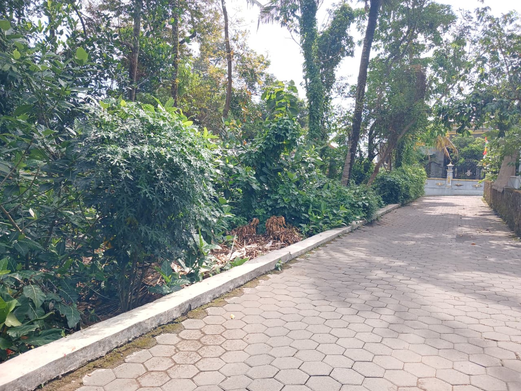Tanah 383 Meter Persegi Cocok Untuk Rumah Tinggal, Pandowoharjo, Sleman