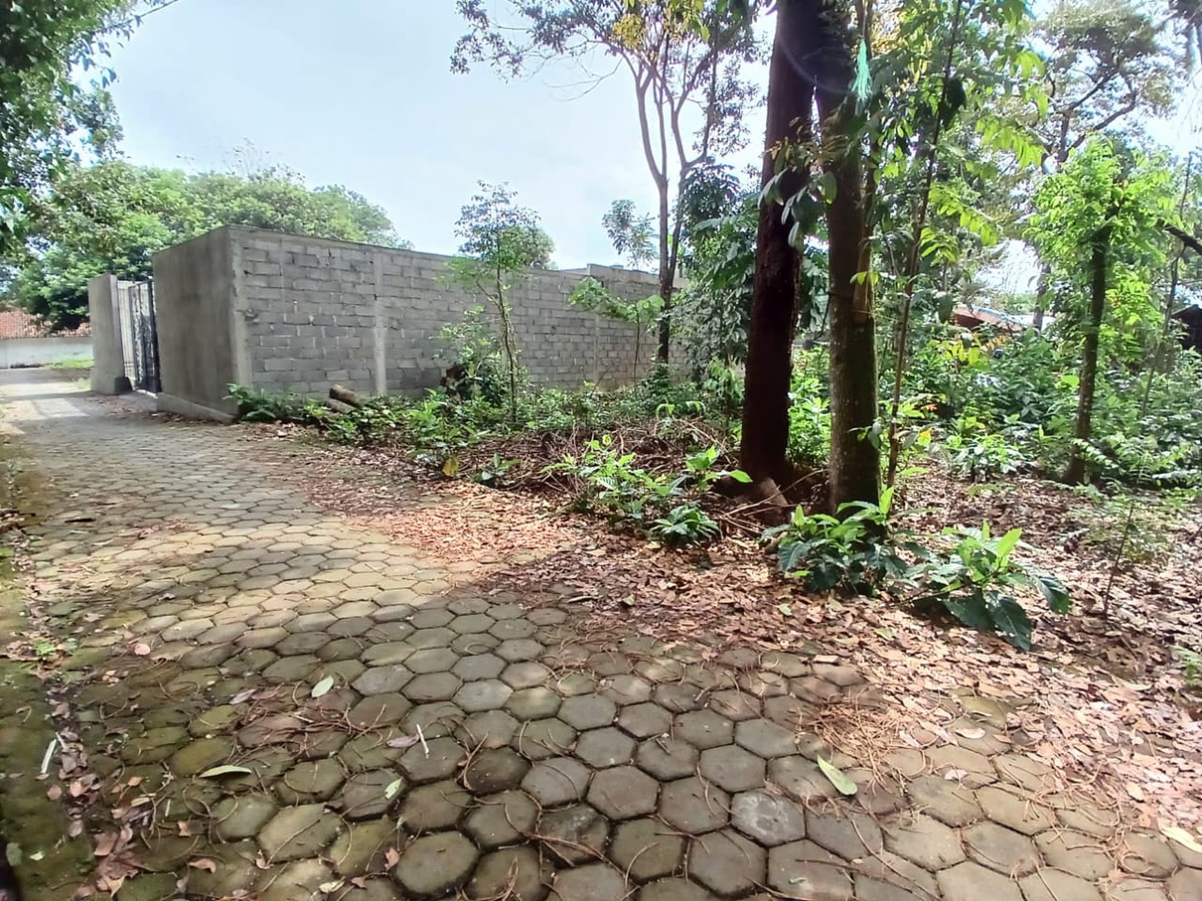 Tanah 383 Meter Persegi Cocok Untuk Rumah Tinggal, Pandowoharjo, Sleman