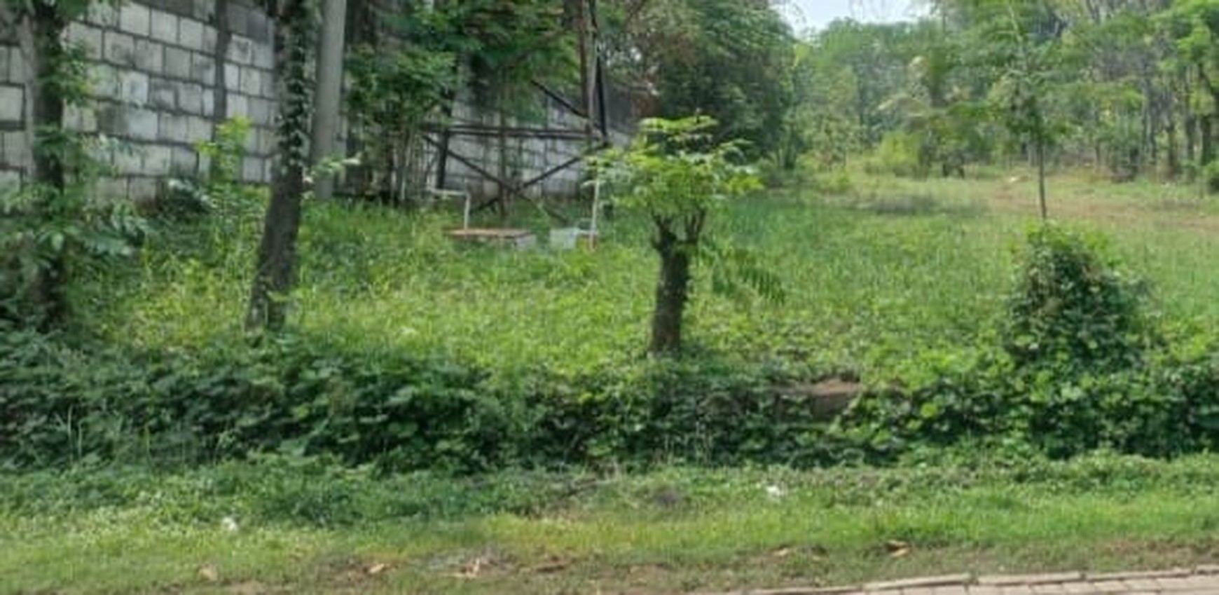 Kavling/ Tanah Seluas 1556m2 Dijual di Mojorejo - Pungging, Mojokerto. Tanah terletak di tepi jalan. Cocok untuk Investasi