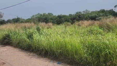 Kavling/ Tanah SHM dengan Luas 1.86 ha Dijual di Dalam Kota Serang, dekat dengan Kantor Pemerintahan dan Pemukiman/ Perumahan. Cocok untuk Pengembangan Komplek Perumahan. Akses Jalan Raya.