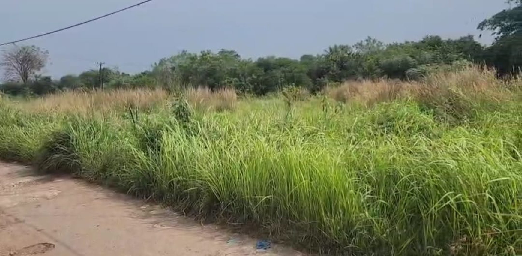 Kavling/ Tanah SHM dengan Luas 1.86 ha Dijual di Dalam Kota Serang, dekat dengan Kantor Pemerintahan dan Pemukiman/ Perumahan. Cocok untuk Pengembangan Komplek Perumahan. Akses Jalan Raya.