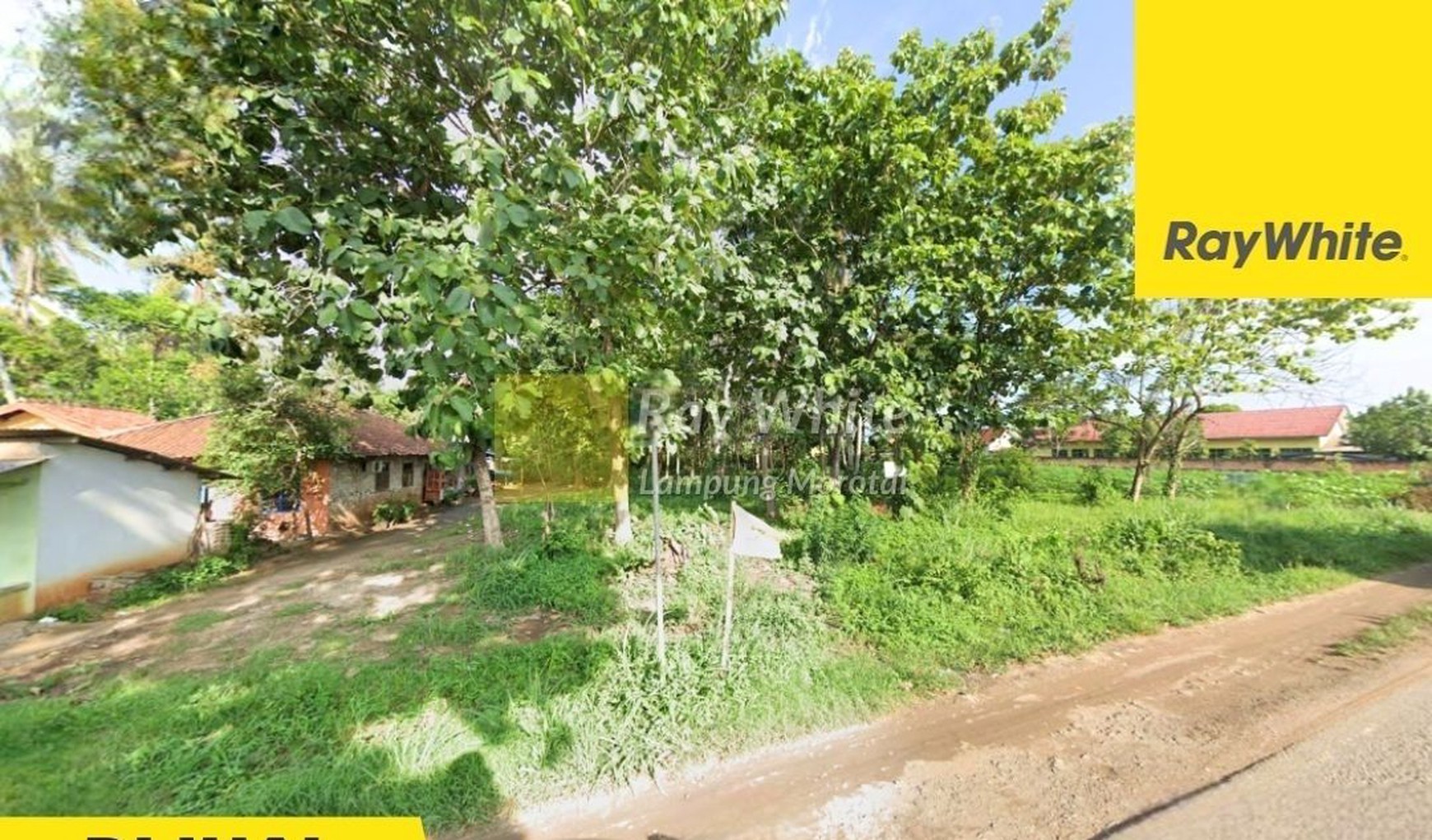 Jual Tanah di Bumi ratu Nuban (ay)