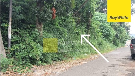 Jual Tanah di Durian Payung (ay)