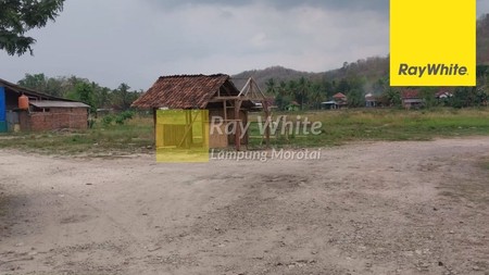 Jual Tanah Tambah Rejo, Pringsewu (ay)