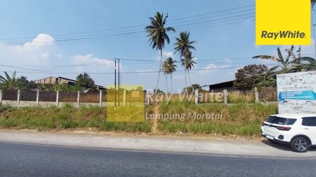 Jual Tanah Hajimena Natar (ay)