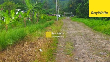 Jual Tanah Hurun Teluk Pandan (ay) 