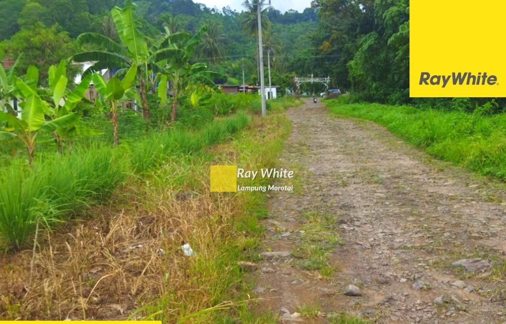 Jual Tanah Hurun Teluk Pandan (ay) 