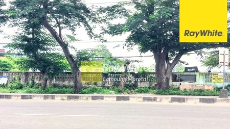 Jual Tanah 3ha di Hajimena, Natar (ay 