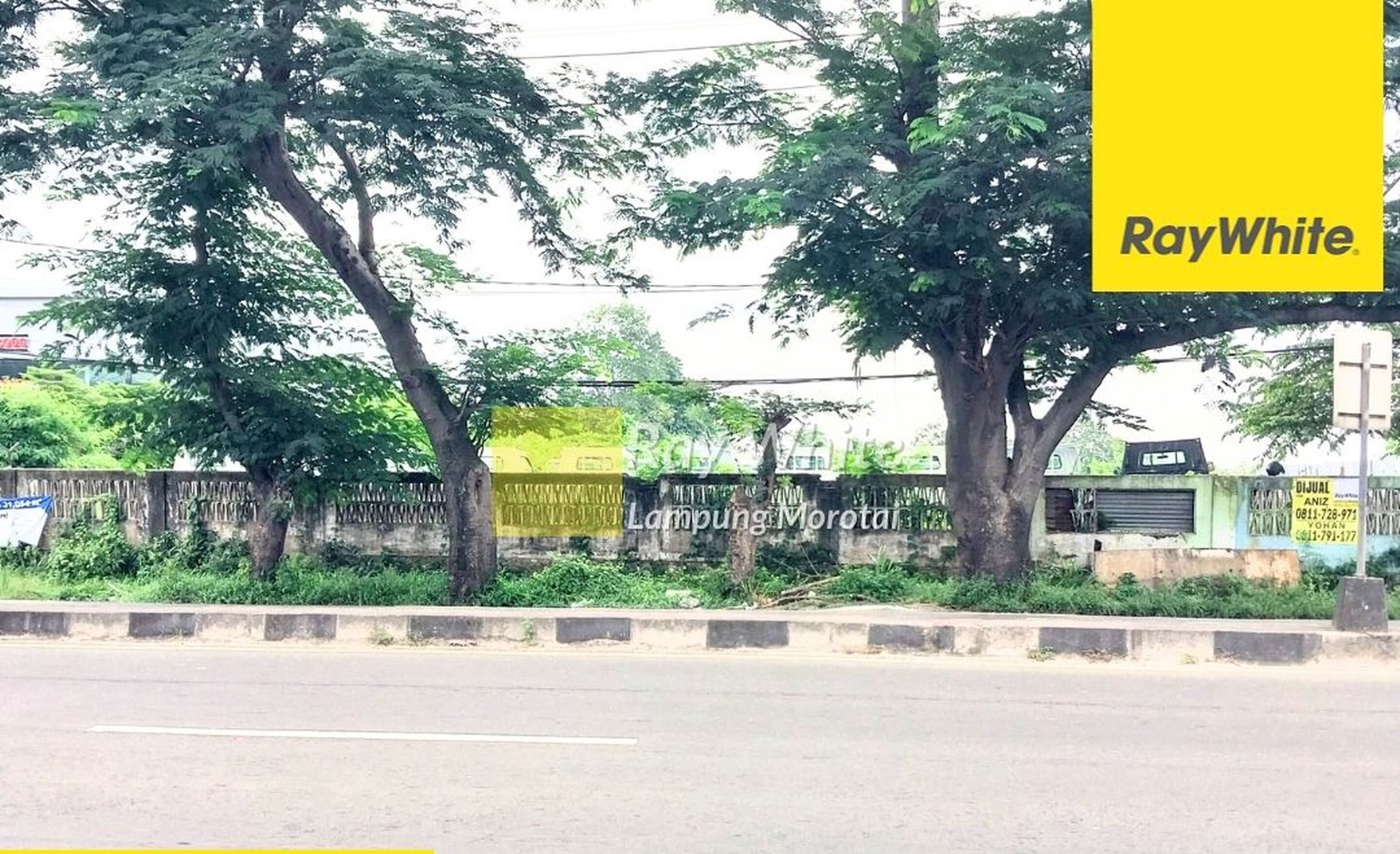 Jual Tanah 3ha di Hajimena, Natar (ay 