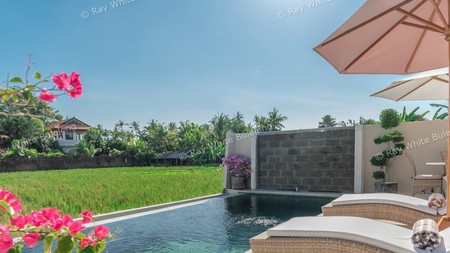 Modern Villa with Breathtaking Rice Field View