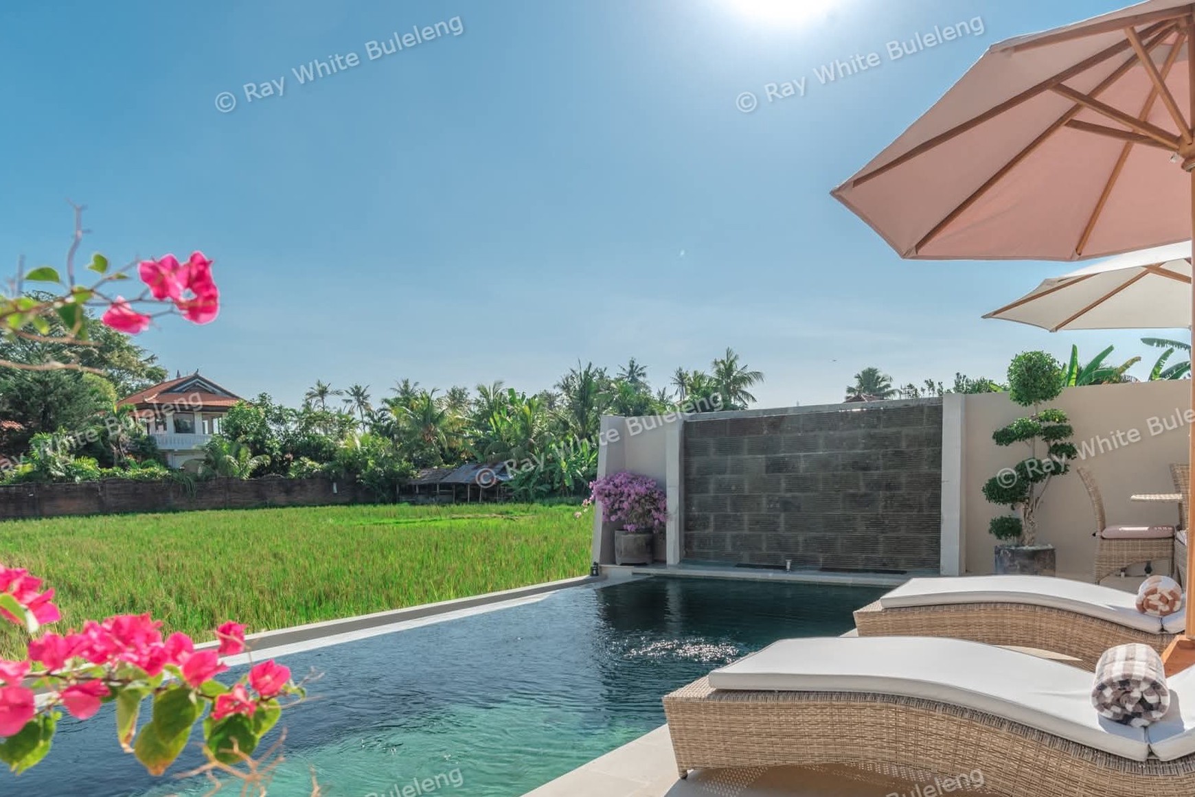 Modern Villa with Breathtaking Rice Field View