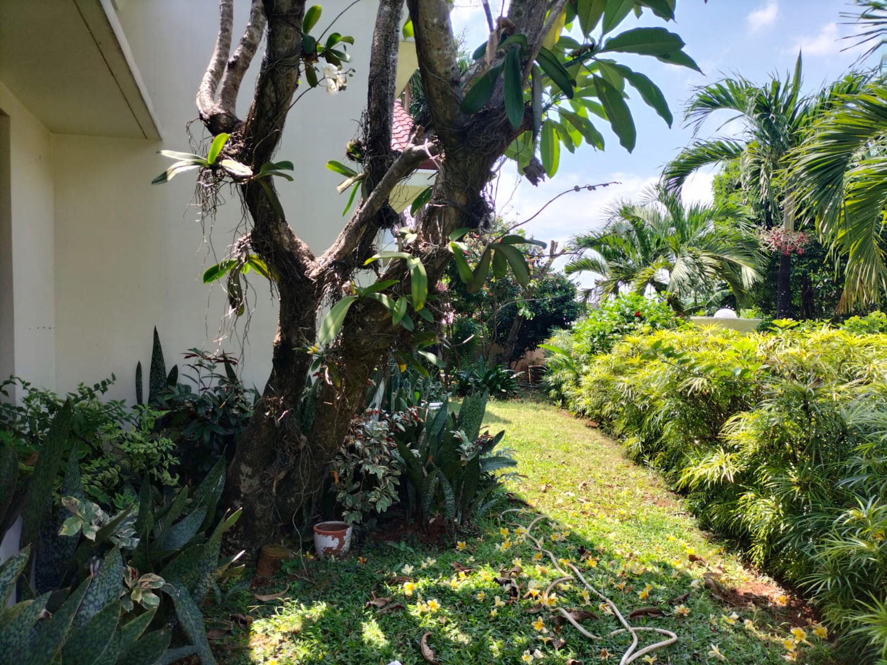 Rumah di Jakarta Selatan Semi Furnished Luas 415 m2 Bangunan 320 m2 KT 3+2 KM 3+1 Posisi HOOK Surat SHM