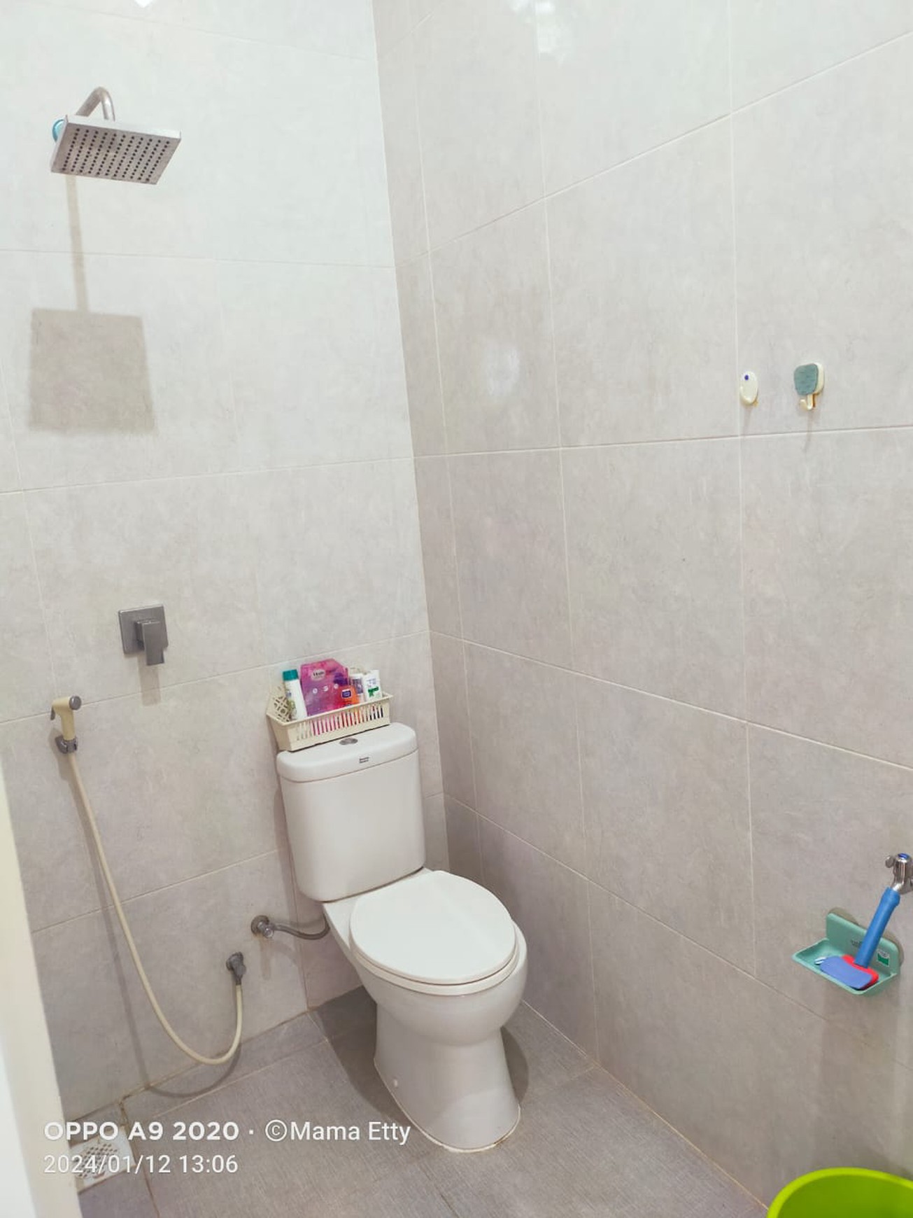 Jual Rumah Model Villa, Daerah Desa Capang Purwodadi Pasuruan
