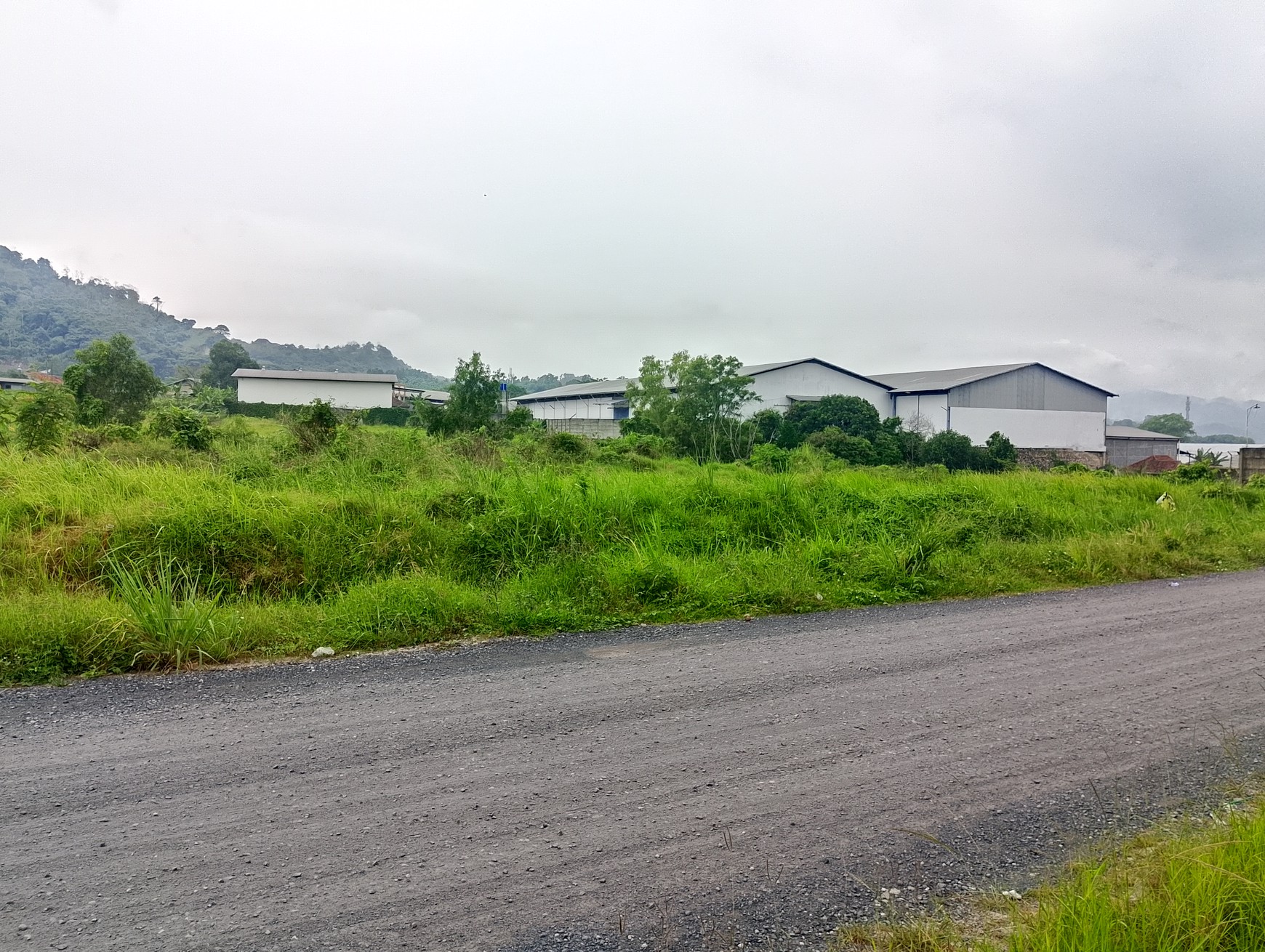 Dijual tanah luas 2142 cocok untuk buat gudang di Ketapang, Teluk betung Selatan