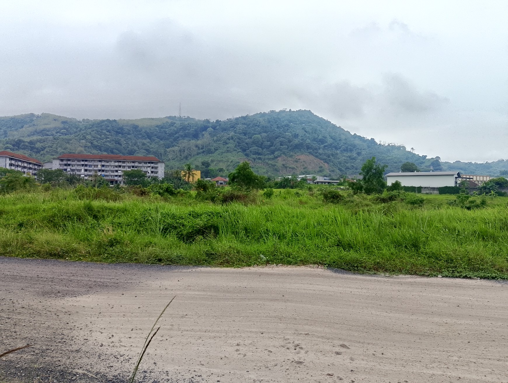 Dijual tanah luas 2142 cocok untuk buat gudang di Ketapang, Teluk betung Selatan