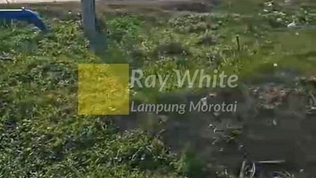 di jual tanah murah natar
