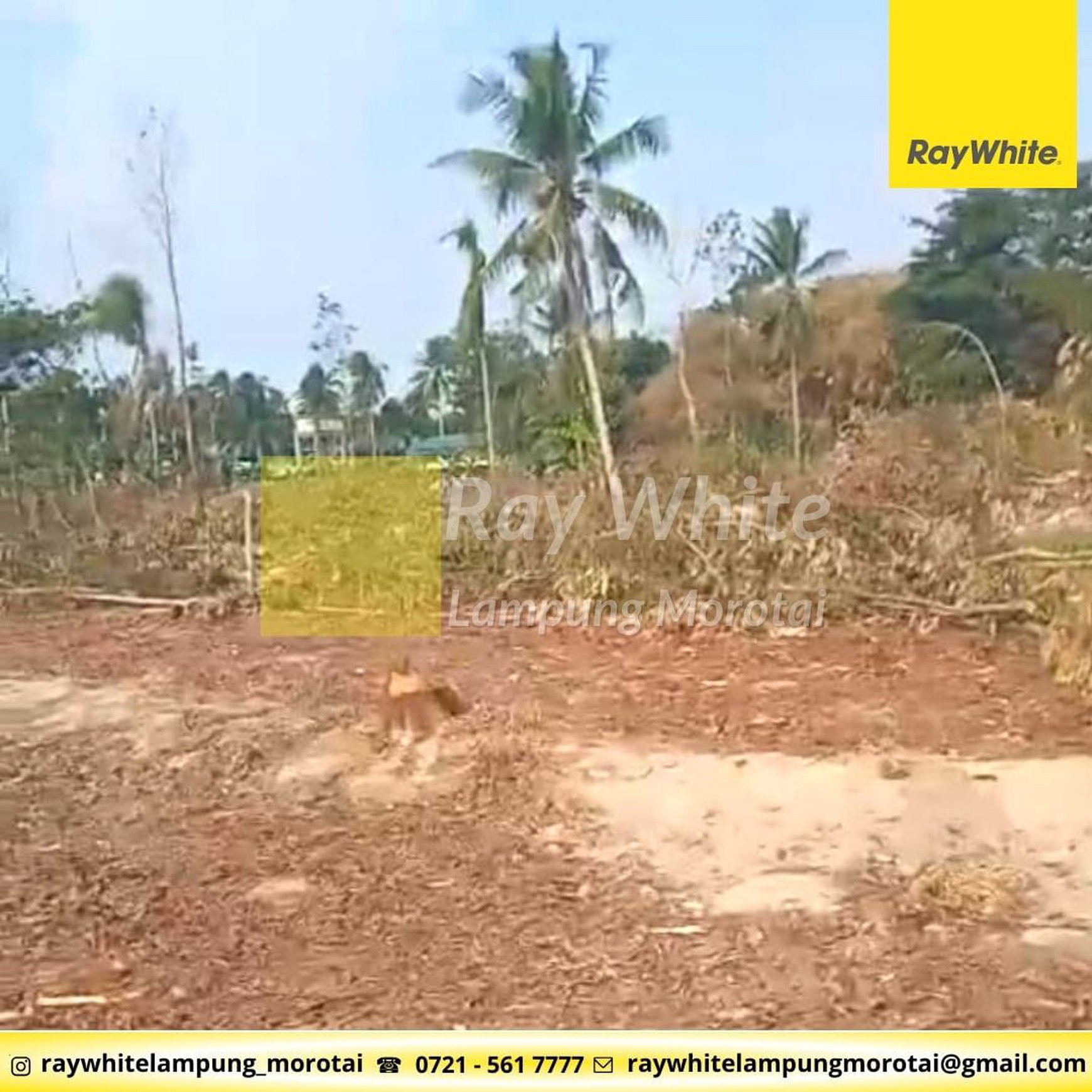 di jual tanah murah natar