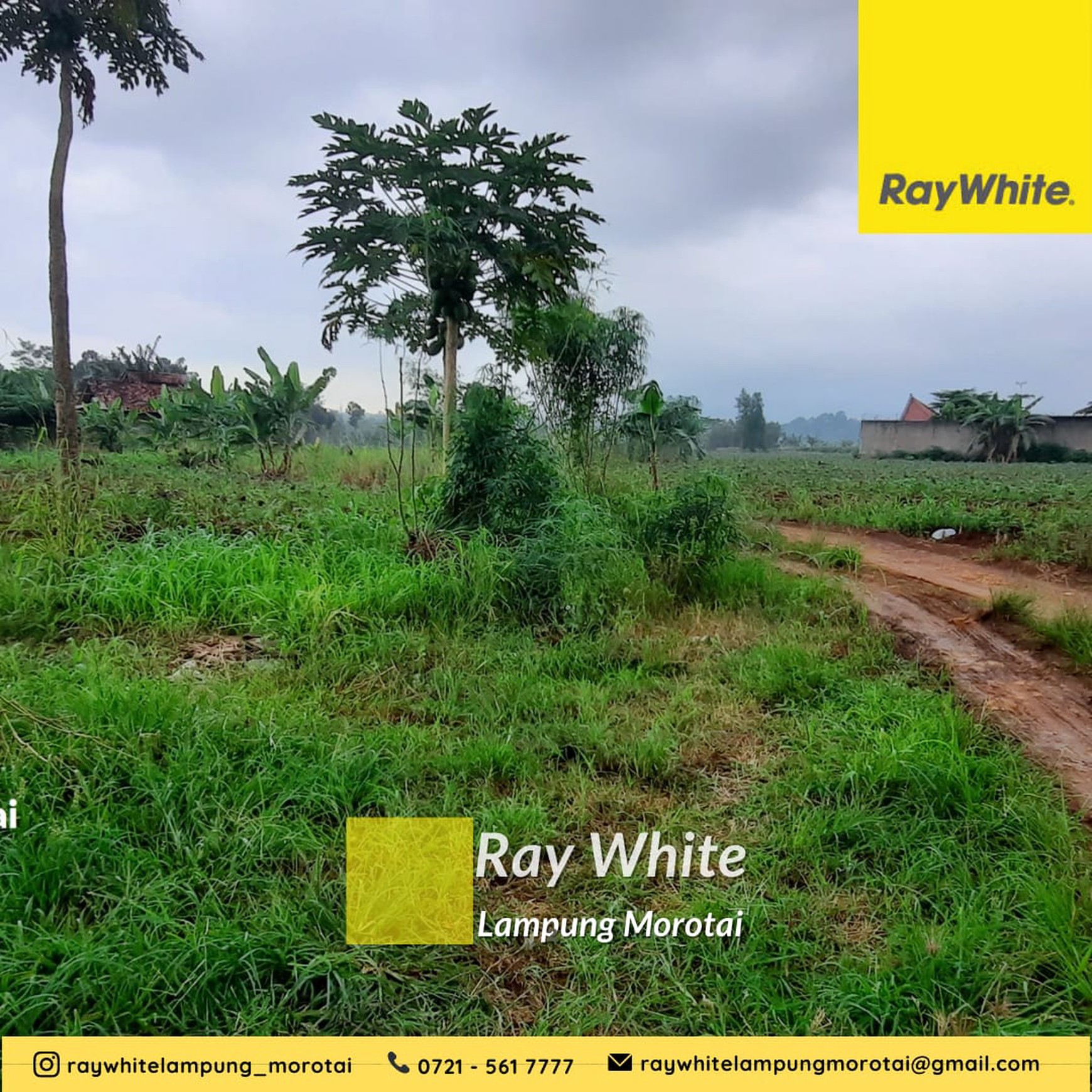 di jual tanah di area jalan utama rajabasa