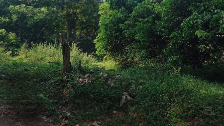 Dijual Tanah Murah Dan Luas Lokasi Strategis Di Kp. Karang Mulya, Purwakarta