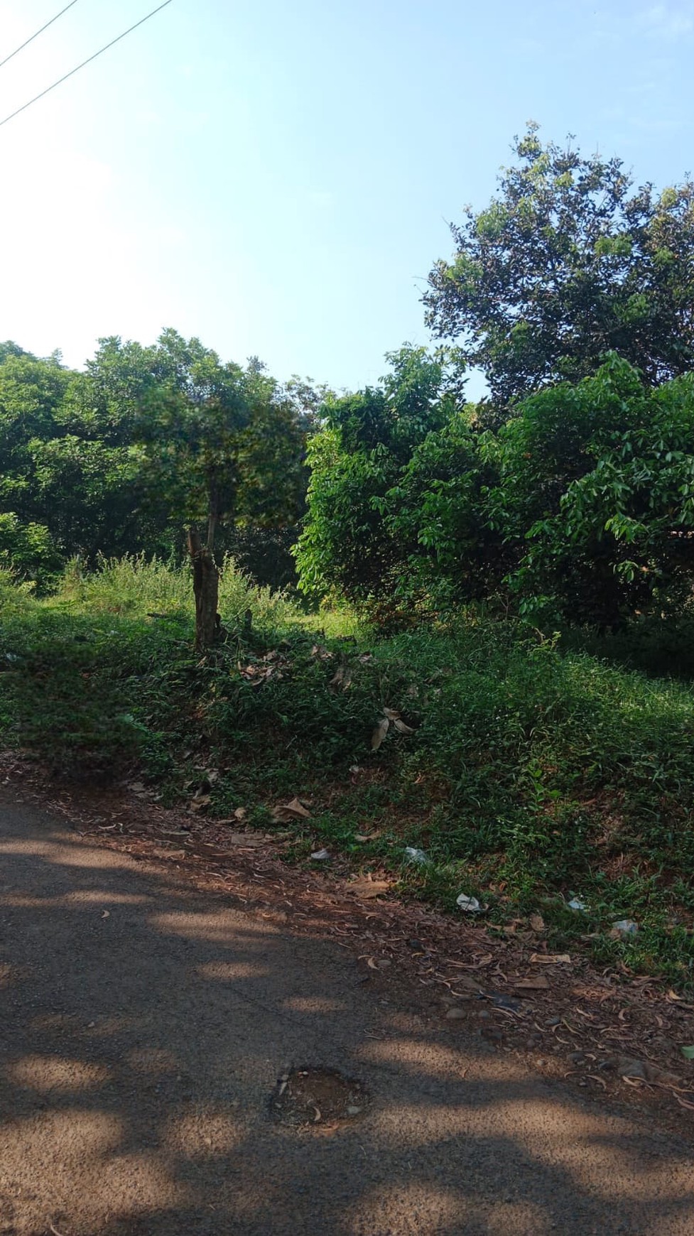 Dijual Tanah Murah Dan Luas Lokasi Strategis Di Kp. Karang Mulya, Purwakarta