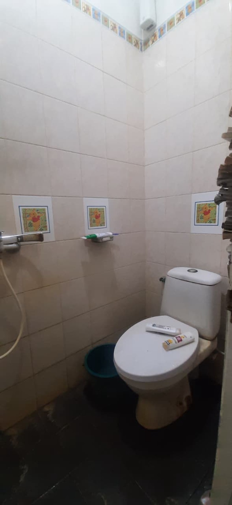 Rumah Asri Claster Diarea Komplek Jl Putri Duyung Dep-lu Cipadu