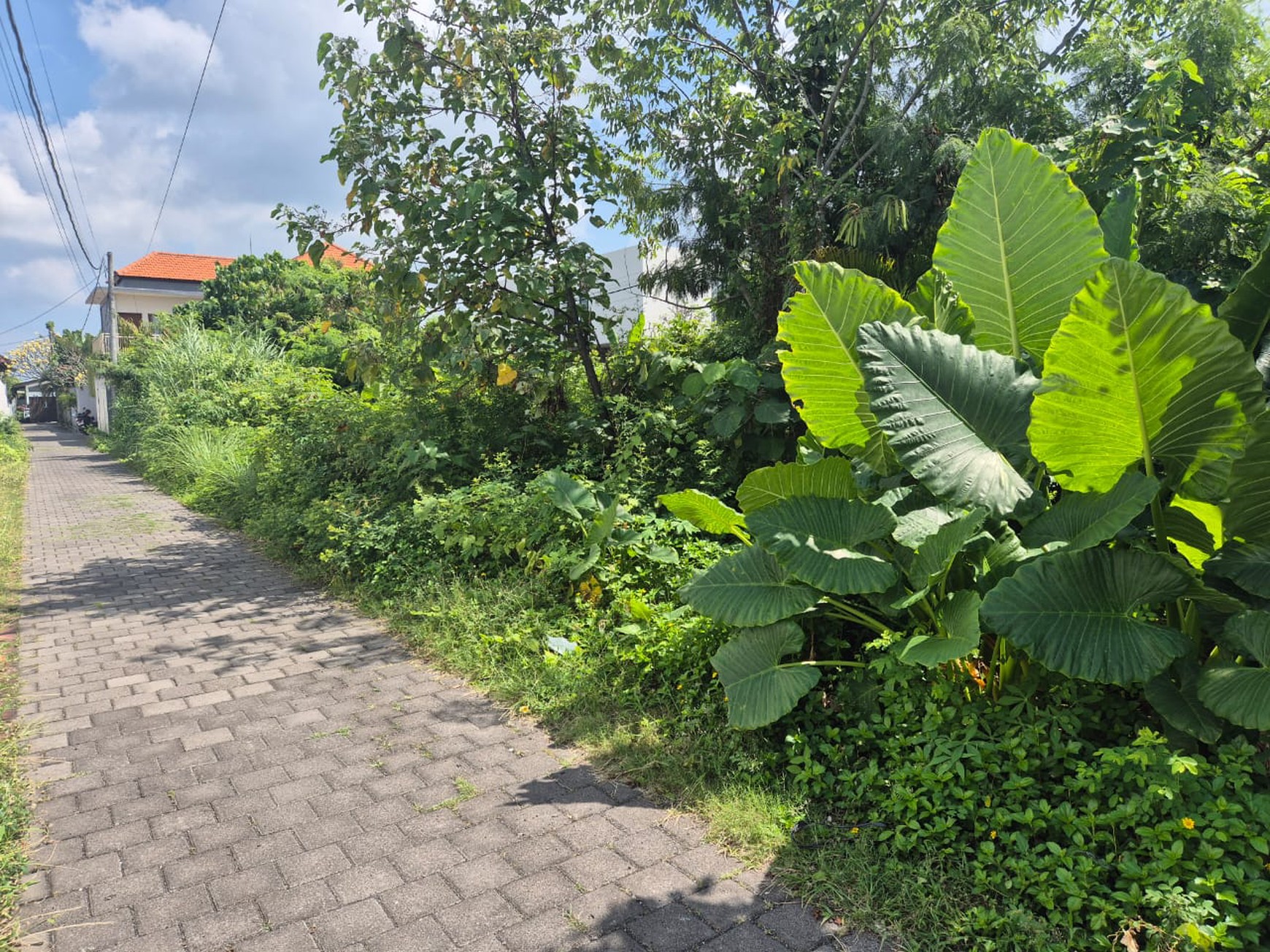 Freehold - Rare opportunity sale Land in Prime location Umalas, Bali